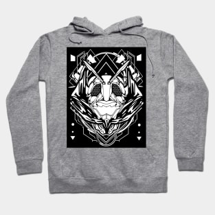 black ninja Hoodie